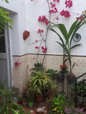 Plano de La Casa Jazmín