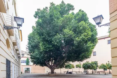 Plano de Alohamundi Escuelas Pías