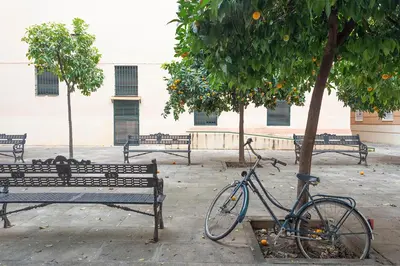 Montar en bicicleta en Alohamundi Escuelas Pías o alrededores