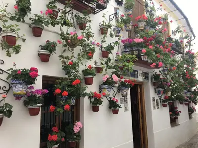Jardín al aire libre en Geysotur Casa Terraza Judería