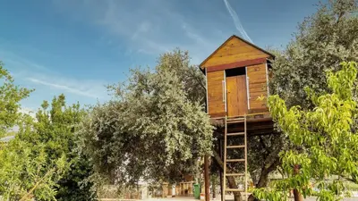 Edificio en el que se encuentra la casa o chalet