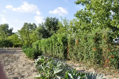 Jardín al aire libre en Hotel Rural La Paloma