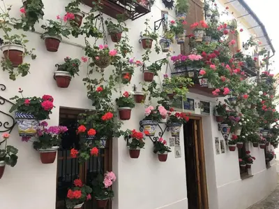 Jardín al aire libre en Geysotur El Rincón de la Verdad