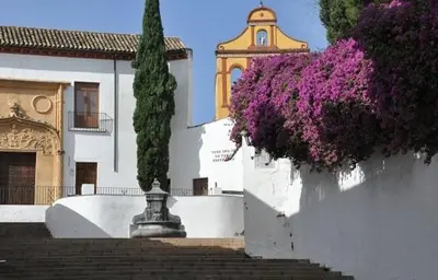 Plano de El patio de San Miguel