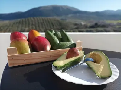 Comida en o cerca de este lodge
