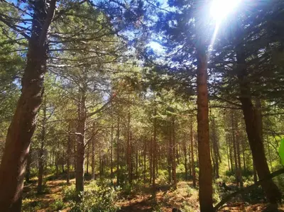 Paisaje cerca de este chalet de montaña