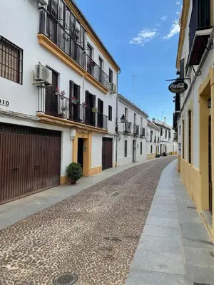 El barrio de los alrededores o un barrio cerca de este apartamento