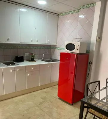 Una cocina o zona de cocina en Apartament Alameda center