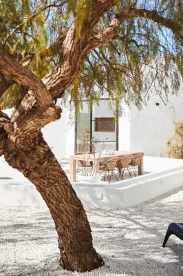 Plano de Finca las Calmas Adults Only Boutique Retreat & Dining Experience