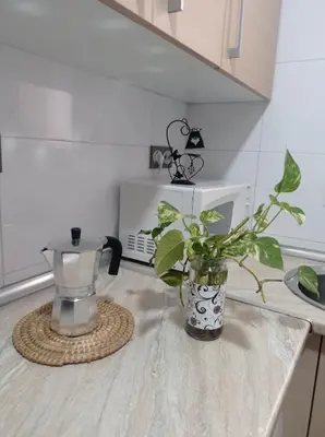Una cocina o zona de cocina en APARTAMENTOS TURISTICOS LAS CINCO JOYAS