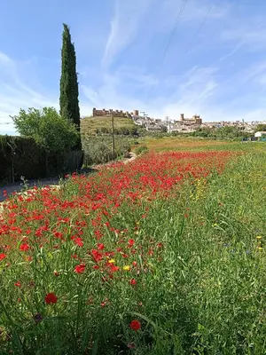 Paisaje cerca de esta casa o chalet