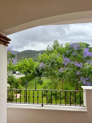Paisaje cerca de este hotel