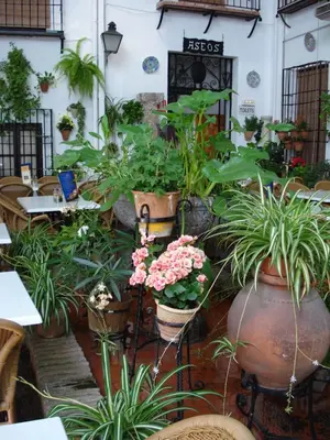 Jardín al aire libre en Los Patios