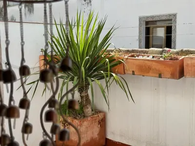 Un balcón o terraza de Ático San Francisco
