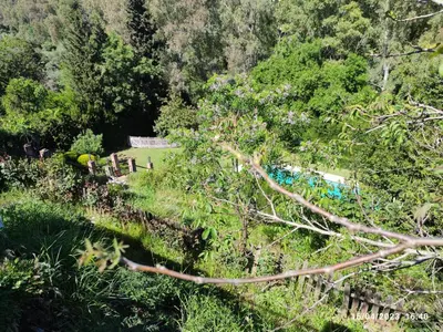 Paisaje cerca de este apartamento