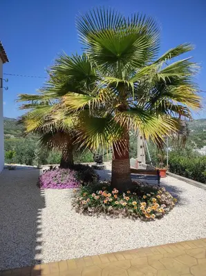 Jardín al aire libre en Las Marrojas, secluded Tudor country cottage