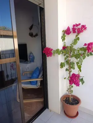 Un balcón o terraza de Apartamento Puerta Grana Priego.